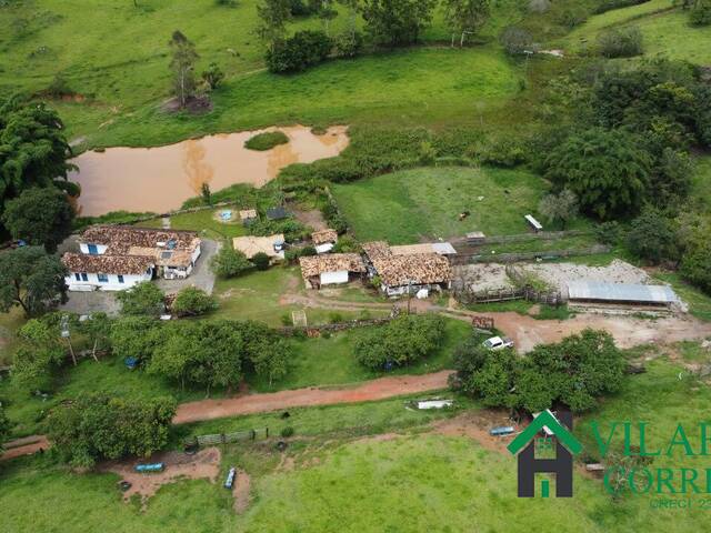 #3645 - Fazenda para Venda em Carmópolis de Minas - MG - 2