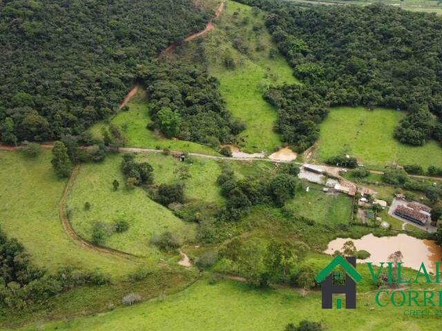 #3645 - Fazenda para Venda em Carmópolis de Minas - MG - 3