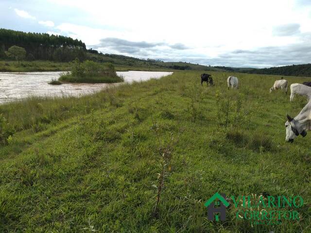 #3646 - Fazenda para Venda em Oliveira - MG - 1