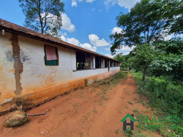 #3648 - Fazenda para Venda em Carmópolis de Minas - MG - 1