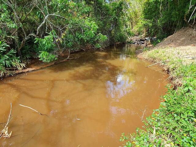 #3648 - Fazenda para Venda em Carmópolis de Minas - MG - 3