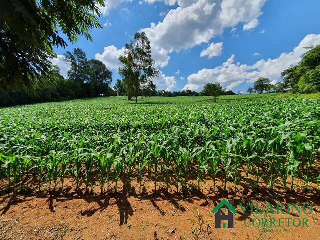 #3648 - Fazenda para Venda em Carmópolis de Minas - MG - 2