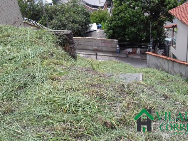 Lote para Venda em Belo Horizonte - 4