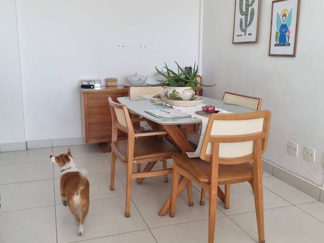 Apartamento para Locação em Belo Horizonte - 5