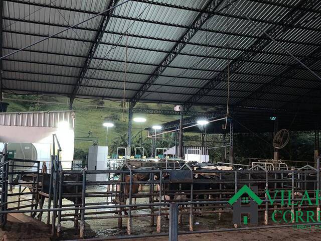 Fazenda para Venda em Itajubá - 5