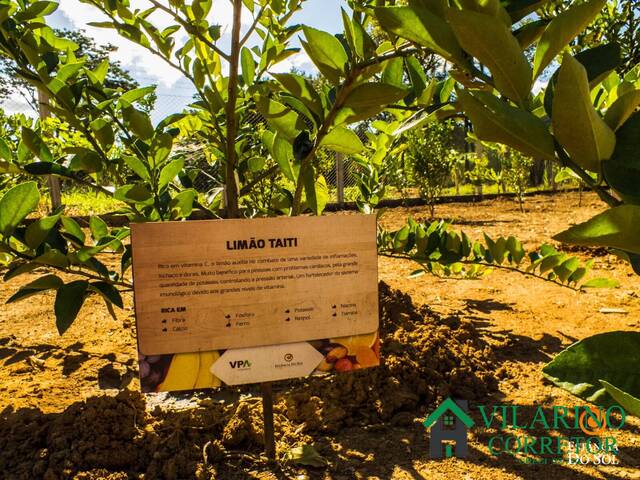 Lote para Venda em Sete Lagoas - 4