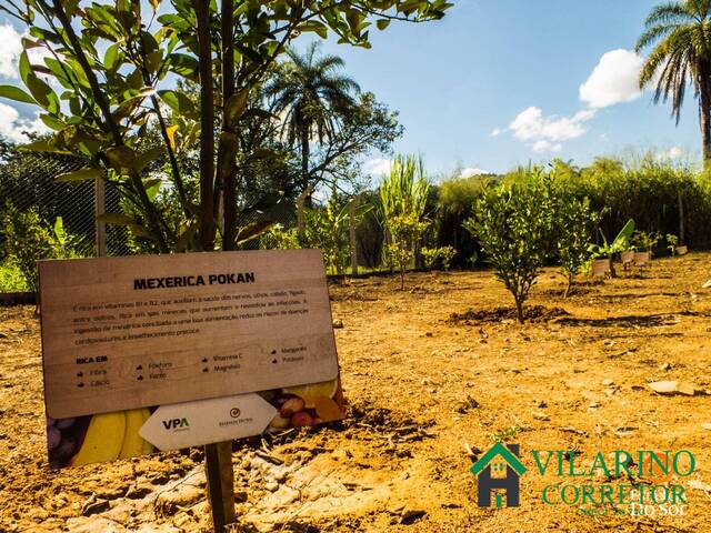 Lote para Venda em Sete Lagoas - 5
