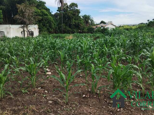 #3919 - Lote para Venda em Esmeraldas - MG - 2