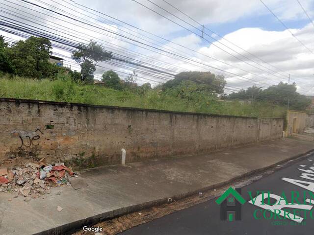 #3950 - Área para Venda em Belo Horizonte - MG - 1