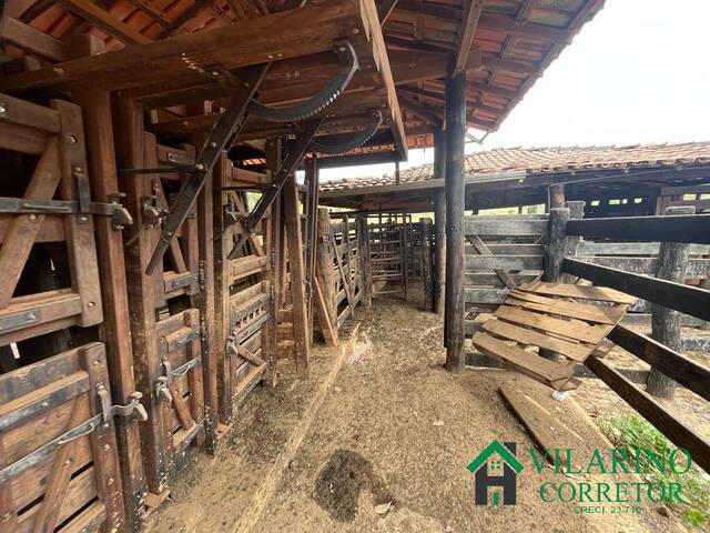 #3915 - Fazenda para Venda em Frei Inocêncio - MG - 2