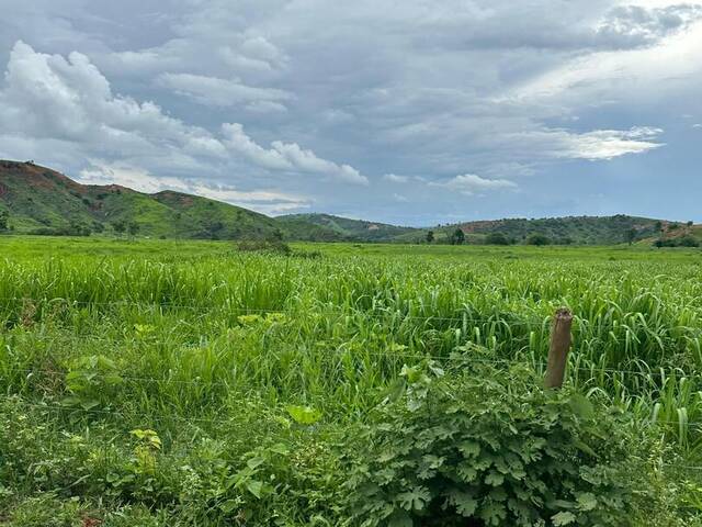 Fazenda para Venda em Frei Inocêncio - 4