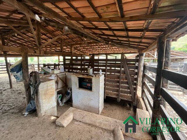 Fazenda para Venda em Frei Inocêncio - 5