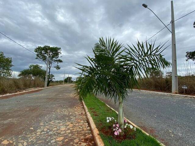 Lote para Venda em Jequitibá - 5