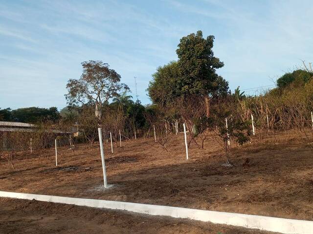 #3515 - Lote para Venda em Bom Jesus do Amparo - MG - 2