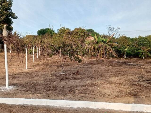 #3515 - Lote para Venda em Bom Jesus do Amparo - MG - 3