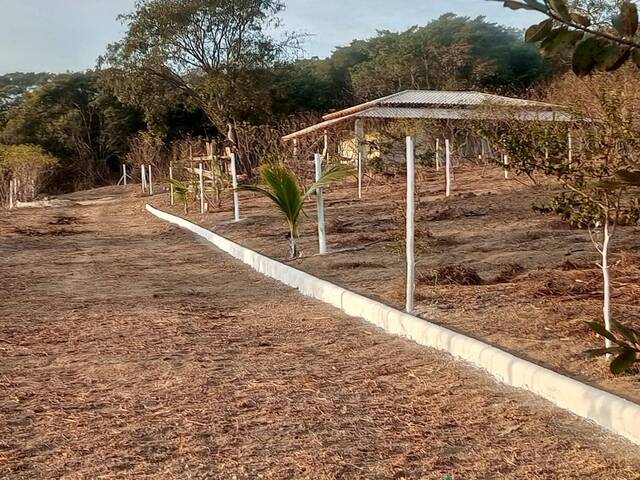 #3515 - Lote para Venda em Bom Jesus do Amparo - MG - 1