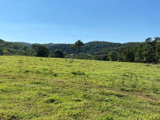 Fazenda para Venda em Paracatu - 4
