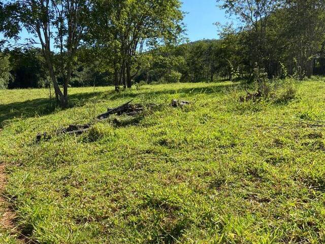 Fazenda para Venda em Paracatu - 5