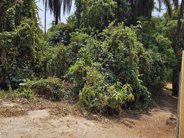 Lote para Venda em Brumadinho - 4