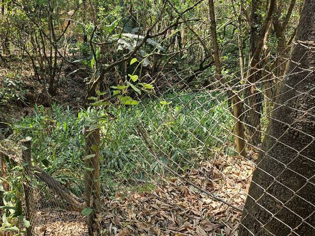 #4049 - Lote para Venda em Brumadinho - MG