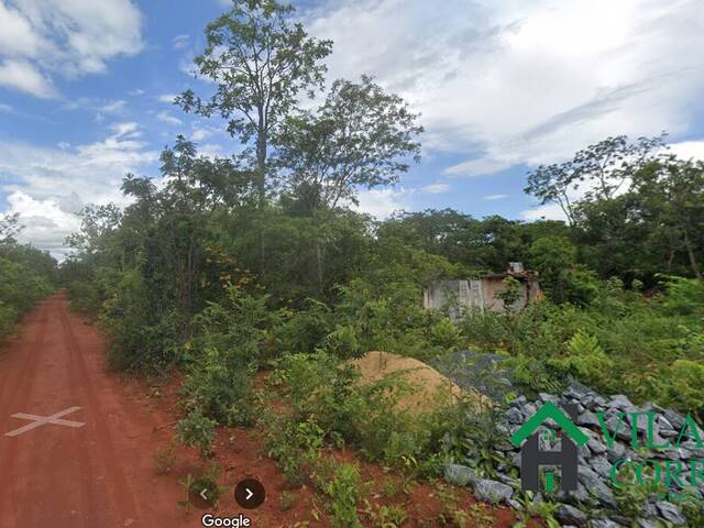 #3310 - Fazenda para Venda em Felixlândia - MG - 2