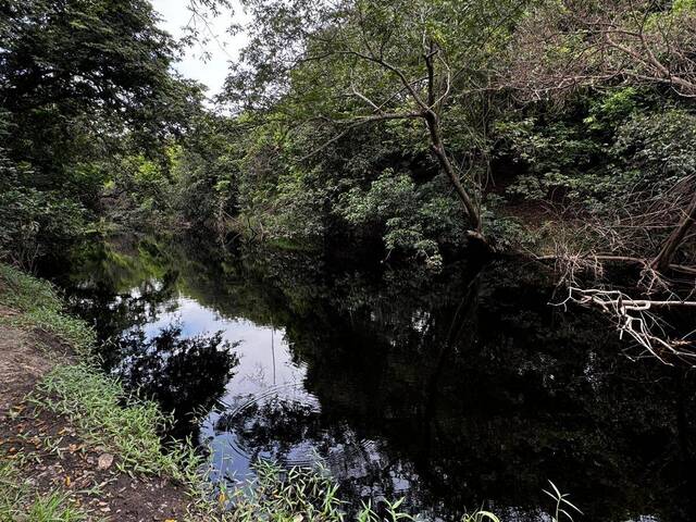 #4101 - Fazenda para Venda em Bocaiúva - MG - 1