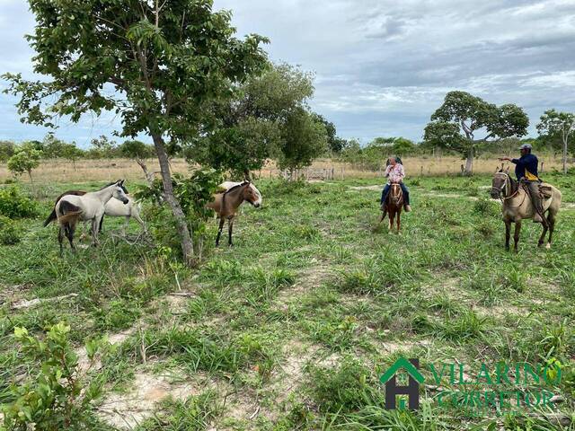 Fazenda para Venda em Bocaiúva - 5