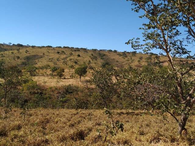 #4109 - Fazenda para Venda em Baldim - MG - 3