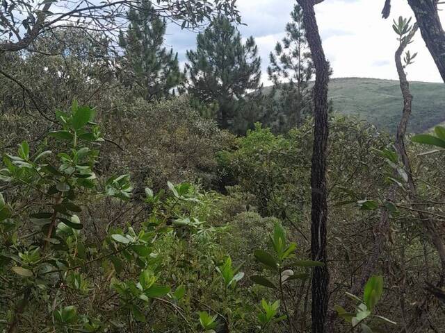 #4122 - Lote no condomínio para Venda em Rio Acima - MG - 1