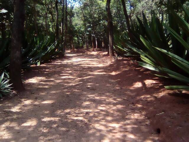 #4126 - Sítio para Venda em Pará de Minas - MG - 2