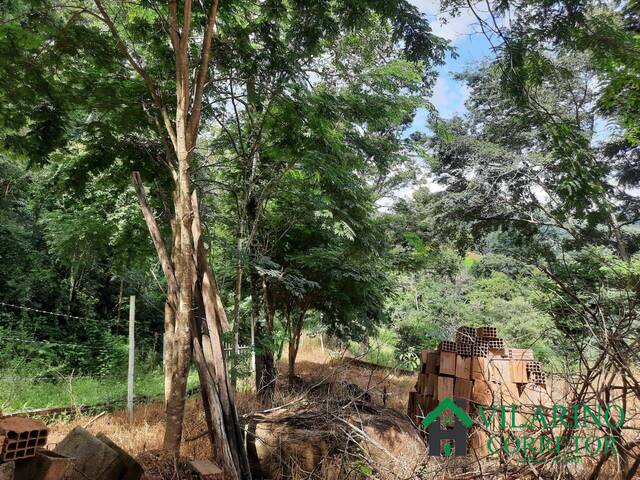 #4145 - Área para Venda em Piedade dos Gerais - MG