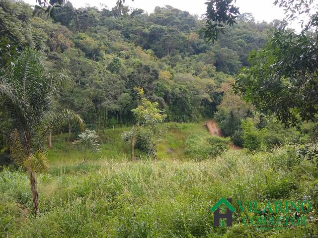 #4145 - Área para Venda em Piedade dos Gerais - MG - 2