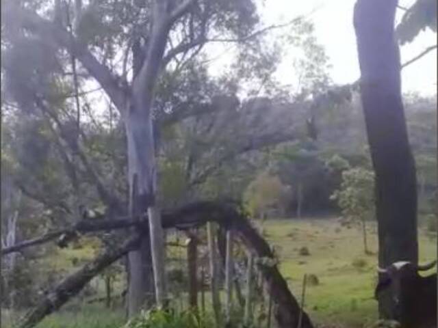 #4176 - Sítio para Venda em Sabará - MG - 2