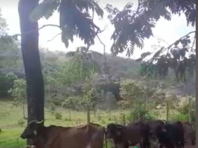 #4176 - Sítio para Venda em Sabará - MG - 3