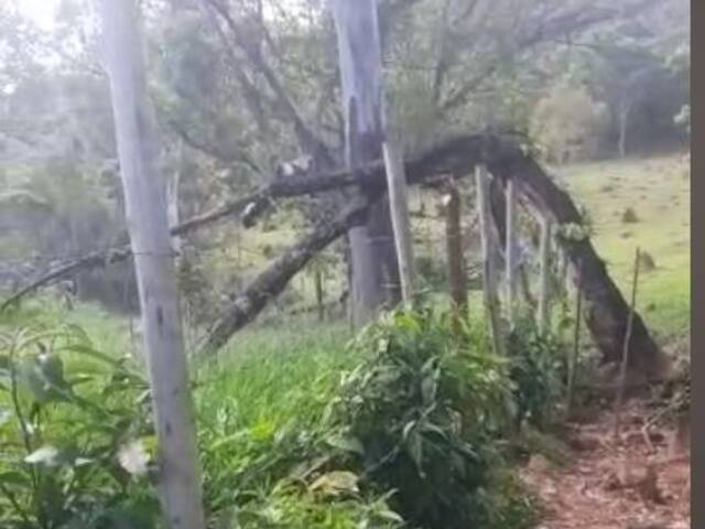 Sítio para Venda em Sabará - 4