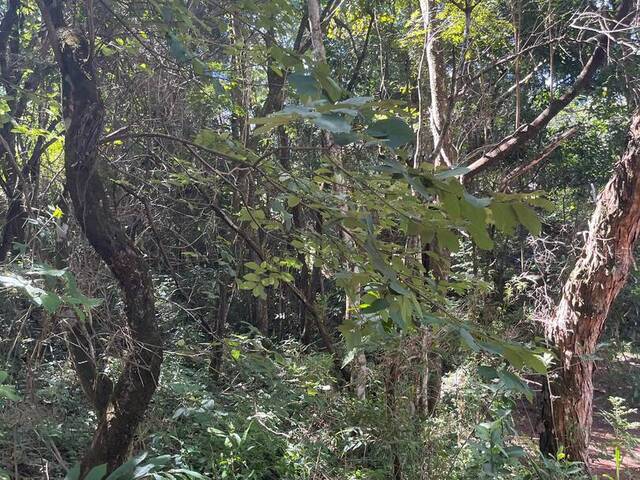 Sítio para Venda em Caeté - 4