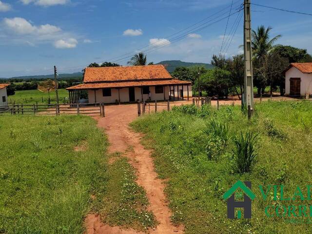 #4191 - Fazenda para Venda em Manga - MG - 1