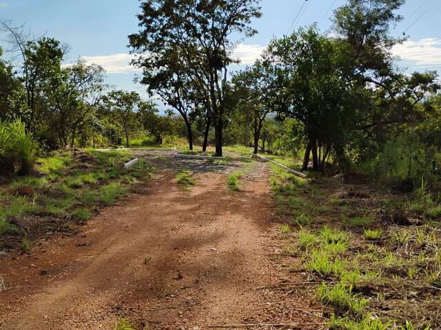 #4203 - Fazenda para Venda em Jaboticatubas - MG - 2