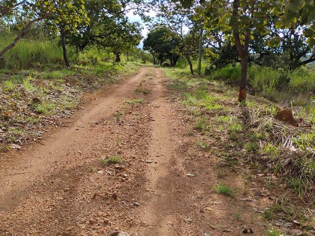 #4203 - Fazenda para Venda em Jaboticatubas - MG - 3
