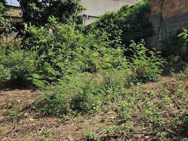 #4175 - Lote para Venda em Belo Horizonte - MG - 2