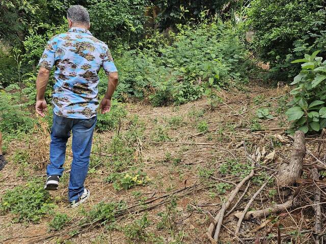 Lote para Venda em Belo Horizonte - 4