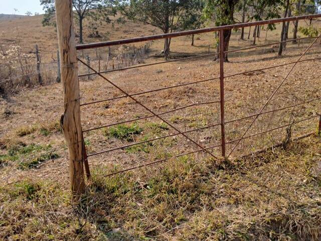 #4243 - Sítio para Venda em Rio Manso - MG - 1