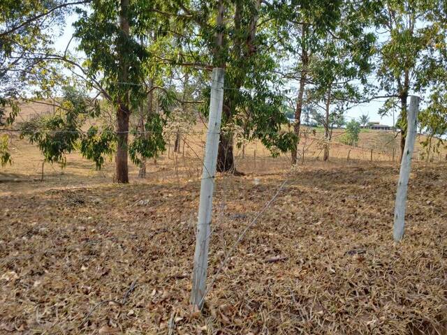 Sítio para Venda em Rio Manso - 4