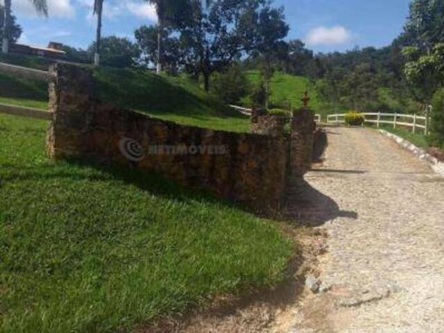 #4244 - Haras para Venda em Santa Luzia - MG - 1