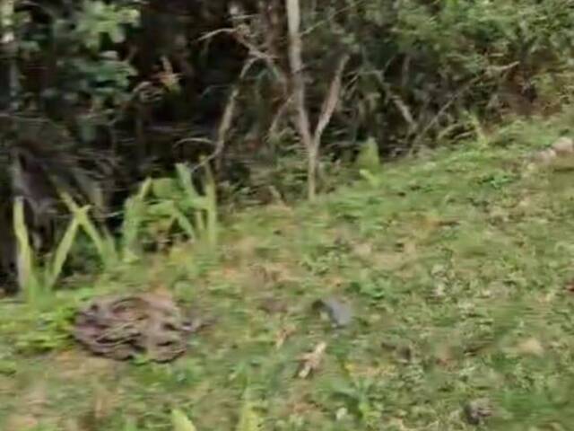 #4262 - Fazenda para Venda em Rio Acima - MG - 3