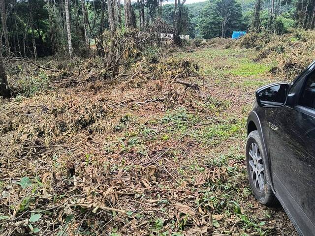 #4266 - Fazenda para Venda em Caeté - MG - 1