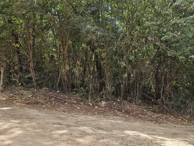 Sítio para Venda em Sabará - 4