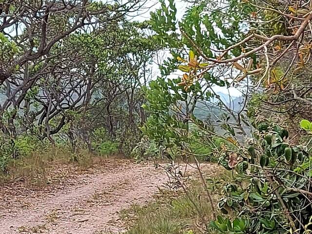 #4313 - Área para Venda em Caeté - MG - 2