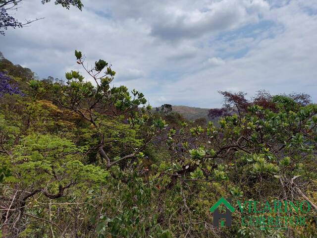 #4313 - Área para Venda em Caeté - MG - 3