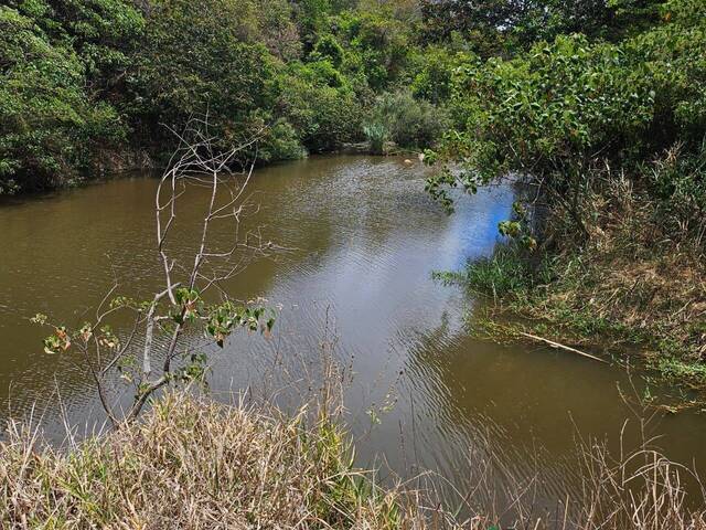 #4321 - Sítio para Venda em Taquaraçu de Minas - MG - 1